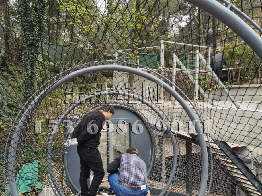 红山森林动物园虎馆通道  
